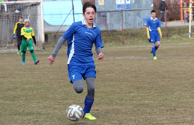 斯情有独钟 斯情有独钟