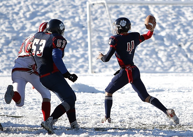 心理素质的 心理素质的