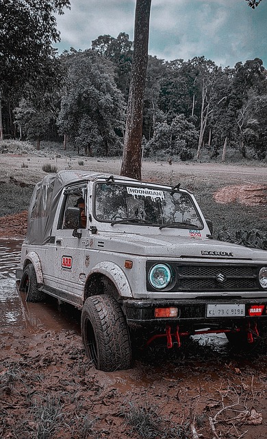 也开始更倾 也开始更倾