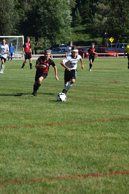 從球員到高 從球員到高