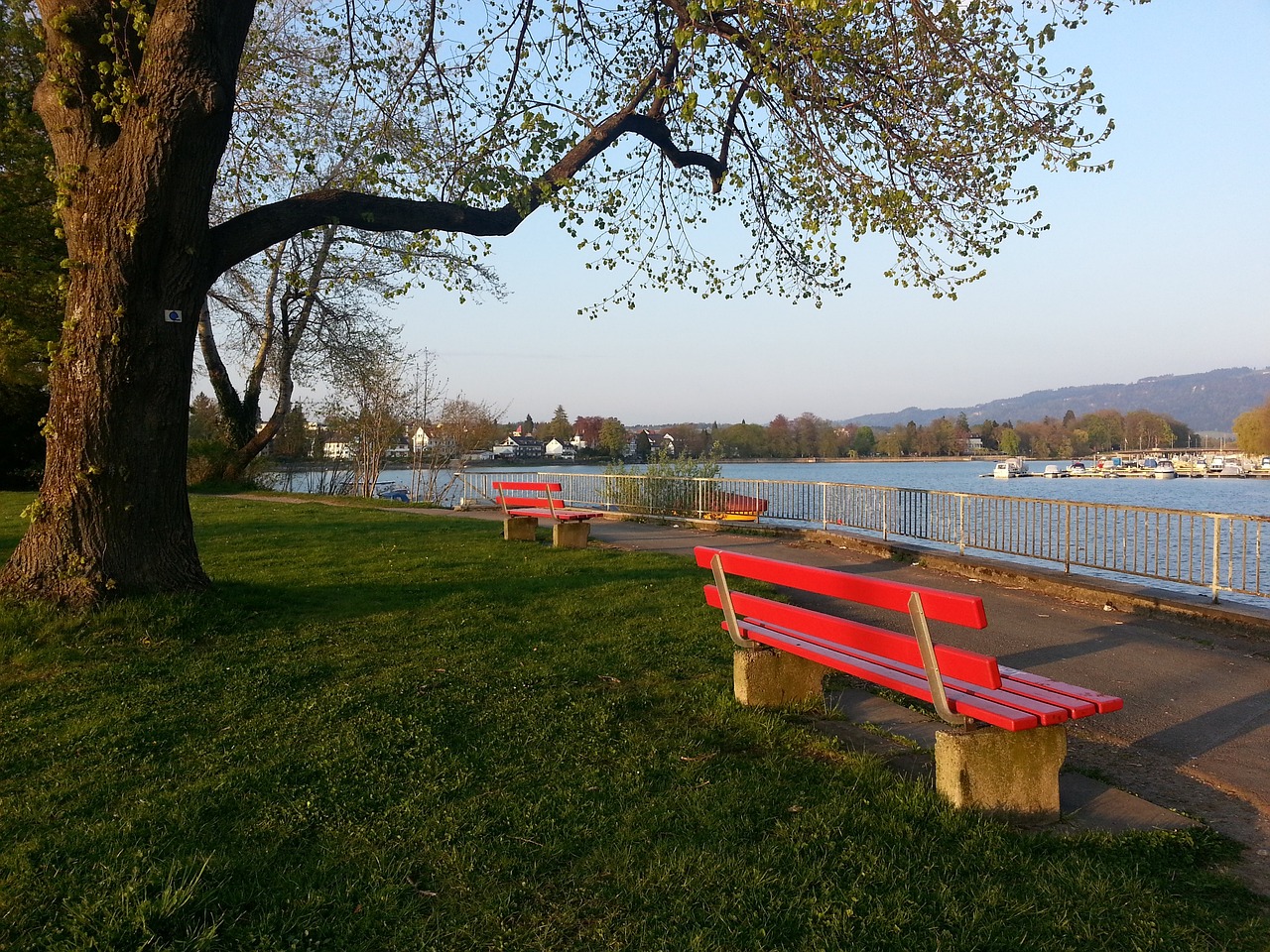 伞高手齐聚 伞高手齐聚