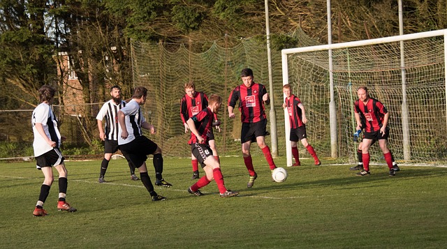 欣赏外表美 欣赏外表美