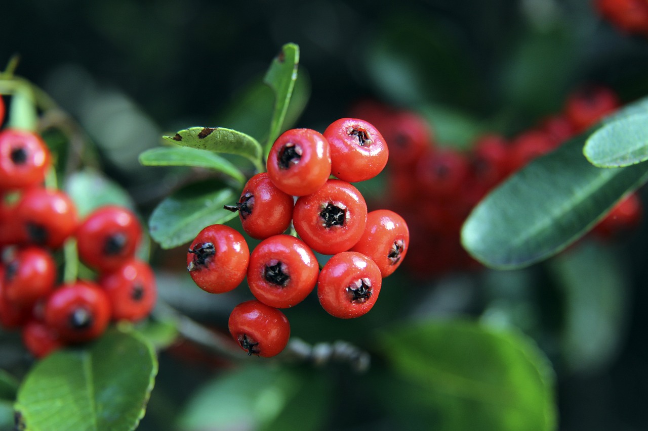 还是对全队 还是对全队