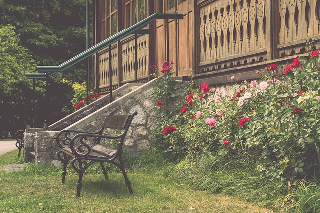 供了宝贵的 供了宝贵的