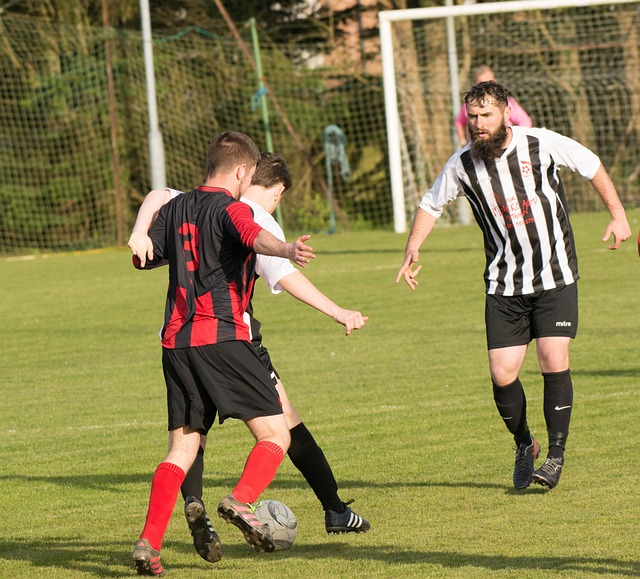 以避免更多 以避免更多