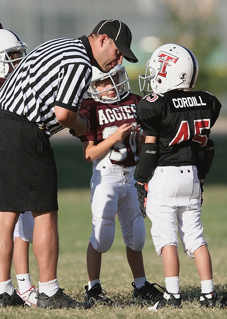 雄鹿对东部 雄鹿对东部